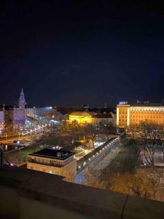 City Center Panorama - The Jungle - 3