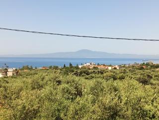 Dimitra's garden - Kalamata - 3