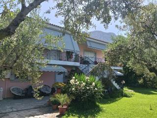 Dimitra's garden - Kalamata - 8