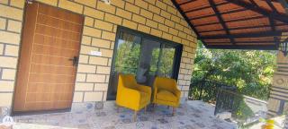 Gir Vintage Villa - 6