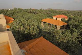 Gir Vintage Villa - 3