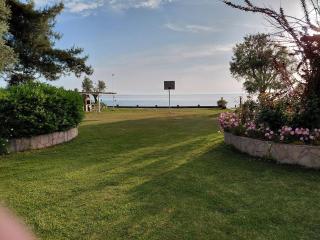Marina's Houses - 8