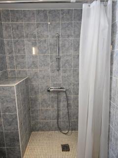 Grande maison calme pour familles & groupes - 3