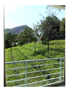vagamon valley bliss - 0