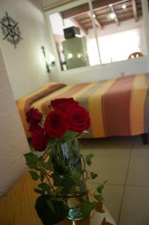 Hotel Pie de la Sierra - Uruapan del Progreso - 5