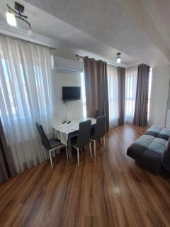 Apartament cu 1 odaie - 3