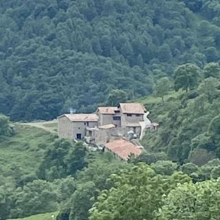 Mas Fogonella - 9