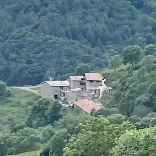 Mas Fogonella - 0