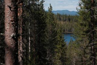 Nordic Soul Adventure Lodge - 1