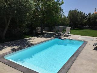 Nataly's Gardens with Pool Lagonissi - Lagonissi - 7