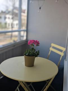 Nice and cozy city apartment, free parking - 8