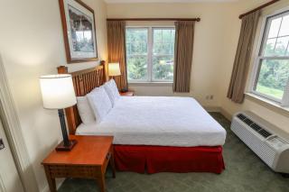Kaatskill Mountain Club & Condos by Vail Resorts - 6