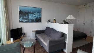 1bhk Aprt - 9