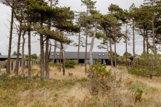 Unspoiled View To The Sea And Wild Nature - 9