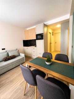 New Gudauri F3 studio apartment - 2
