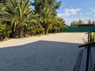Crocus Corner - Kyalami - 4