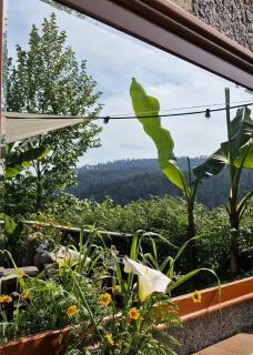 4-5 star Ecoresort Portobali -  - 2
