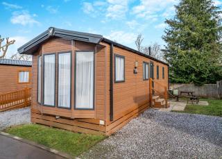 Castle Brake Holiday Park - 8