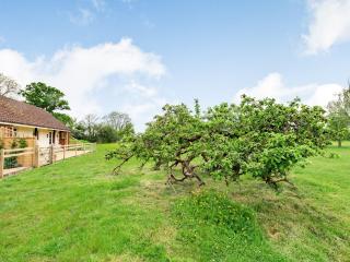 Orchard Barns - 4