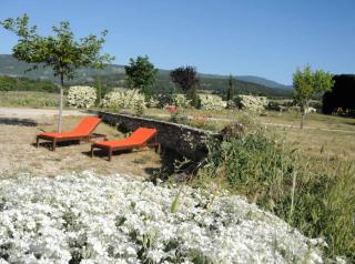 Gite vue sur les lavandes Mont Ventoux, Sault - 7