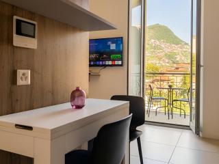 Design Studio with Balcony & Parking Lugano - 0