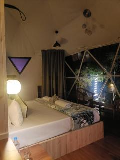 Dome Stay Kasauli - 1