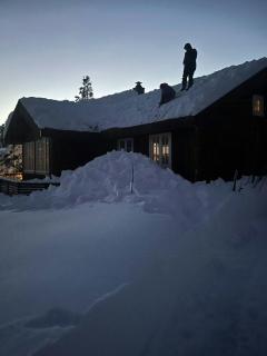 Traditional Log Cabin Near Treungen - 2