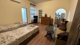 Zhana's Central Apartment - 9