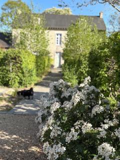Manoir Saint-André,B&B de charme - 7