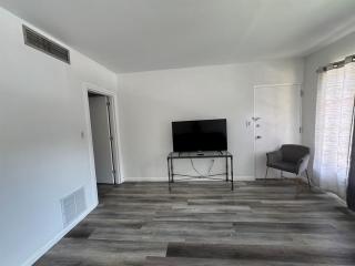 Lake Eola view 1 bedroom Thornton Park - 8