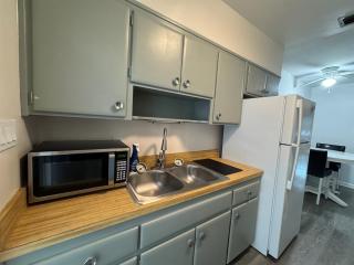 Lake Eola view 1 bedroom Thornton Park - 5