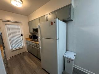 Lake Eola view 1 bedroom Thornton Park - 4