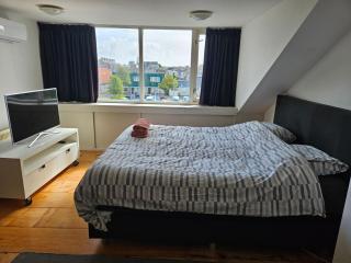 sfeervolle zolderkamer aan singel in centrum - 0