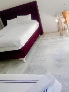 forest villa, 6 minutes from the airport - 5