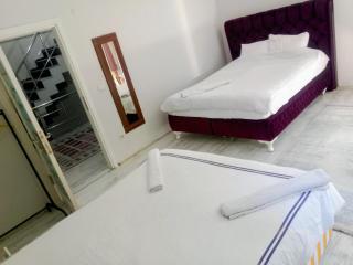 forest villa, 6 minutes from the airport - 2