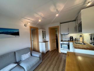 Appartement 2 pièces pour 4 personnes avec balcon à Châtel - FR-1-198-159 - 1