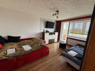 Cozy 9th floor studio with balcony and free parking - 4