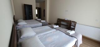 Elnetsa Inn Kazbegi - Kazbegi - 2