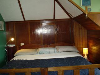 Federation House - Oamaru - 3