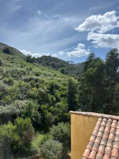 Appartement Odette - 4
