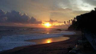 Seasons Four Jungle Treehouse - 1