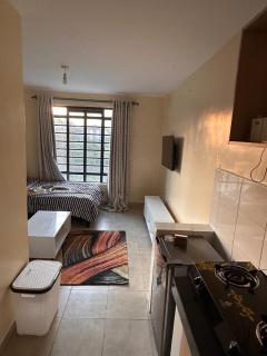 Minimalist Haven in the Heart of Nairobi - 1
