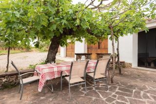 Mas de Paco, Chimenea, barbacoa y piscina - 8