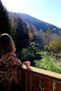 Le Balcon du Menaurupt - 4
