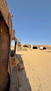 Fayoum Desert Camp - 3