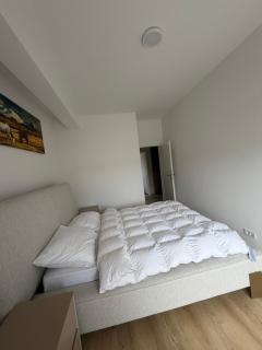 Aleksej studios - 1