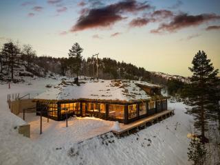 Large modern cabin from 2023 for rent - 0