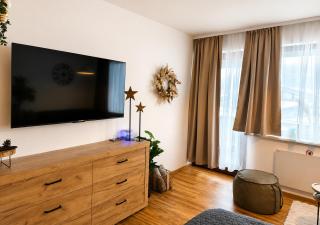 Forest Apartment Gosau - Gosau - 6