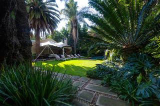 African Rock Hotel & Spa -"Relaxed Exclusivity" - 7