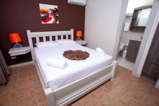 Oasis Tropical - 2